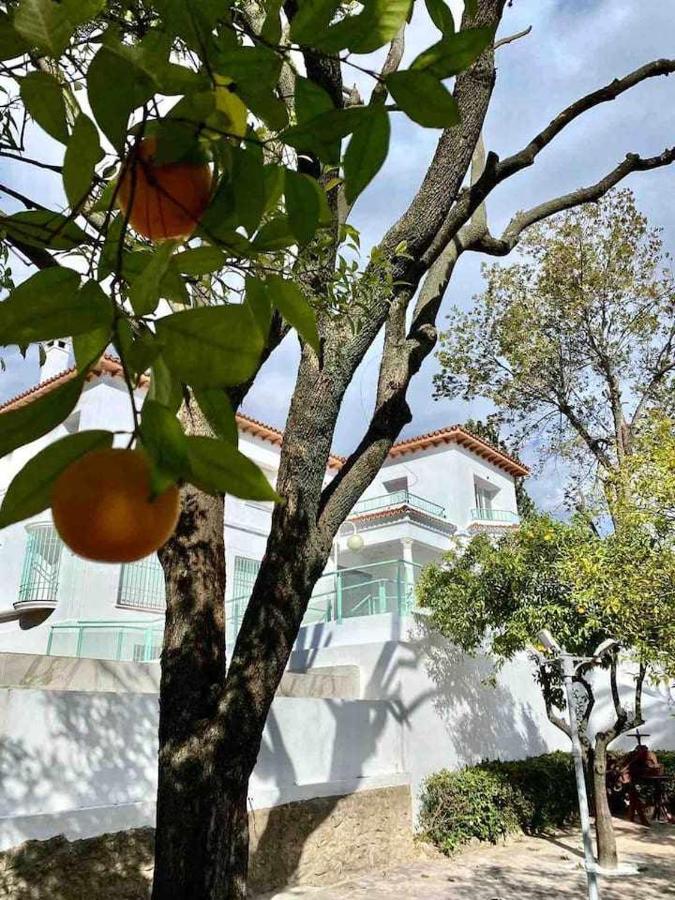 Nuevo Los Almendros 204 Complejo Turistico Apartment Kordoba Bagian luar foto